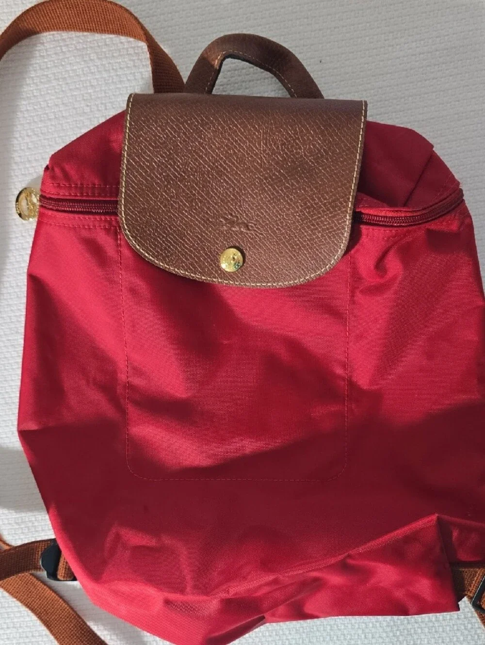 Longchamp LE PILAGE backpack